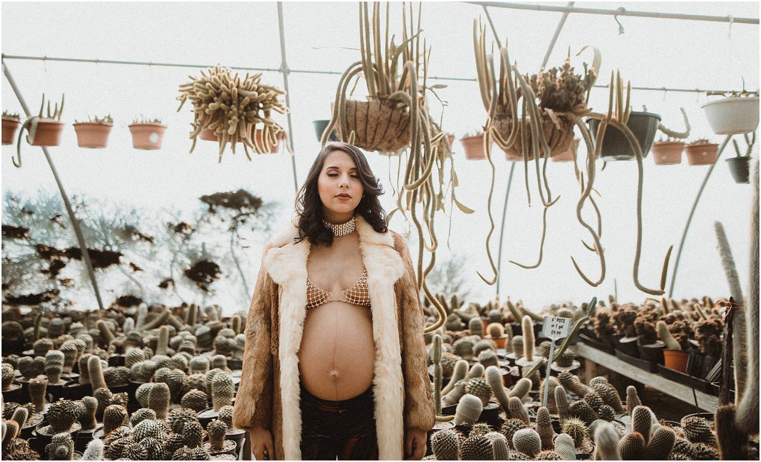 Denise’s 70s, Cactus King Maternity Session